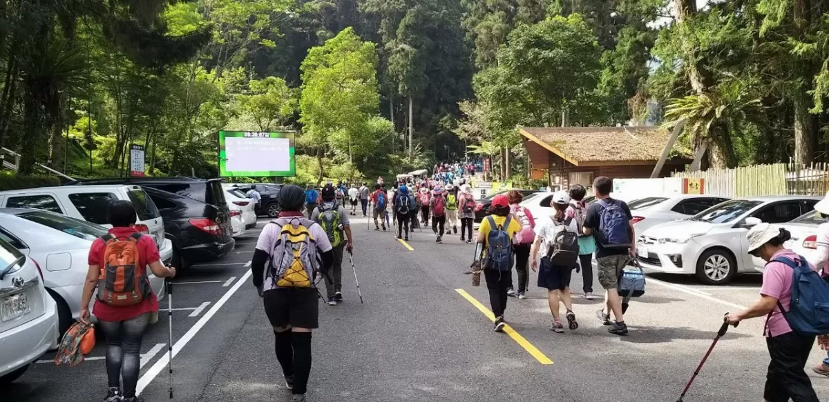 溪頭氣溫低平地8度 連3天入園避暑破8千人