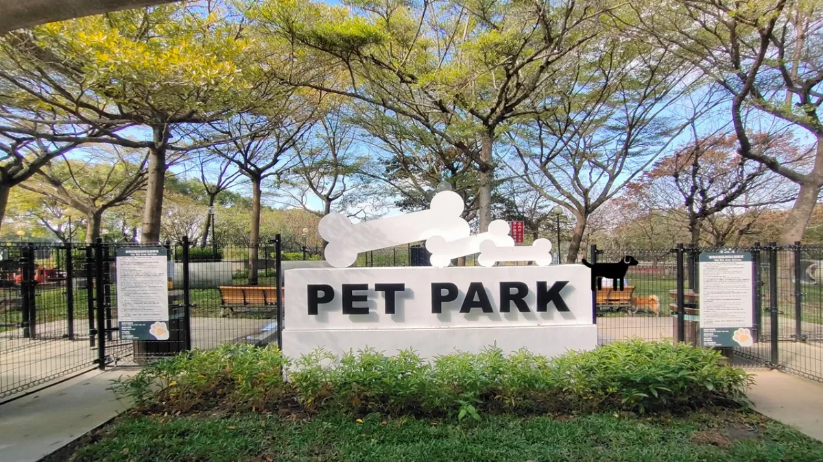 國道服務區再增3處寵物公園 照顧毛小孩出遊需求