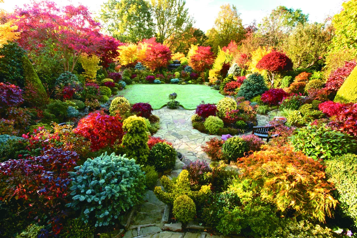 夫妻花42年 把後院變旅遊勝地