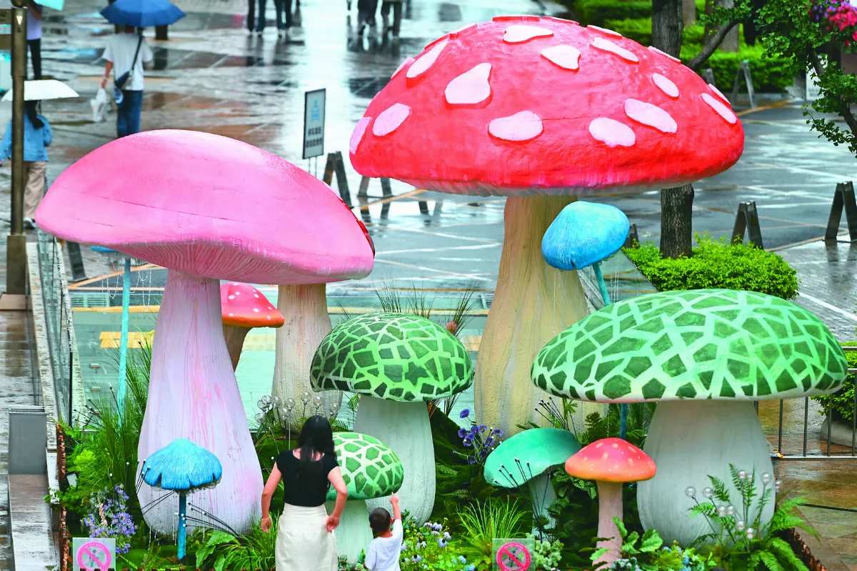 雲南街頭 長出巨型蘑菇