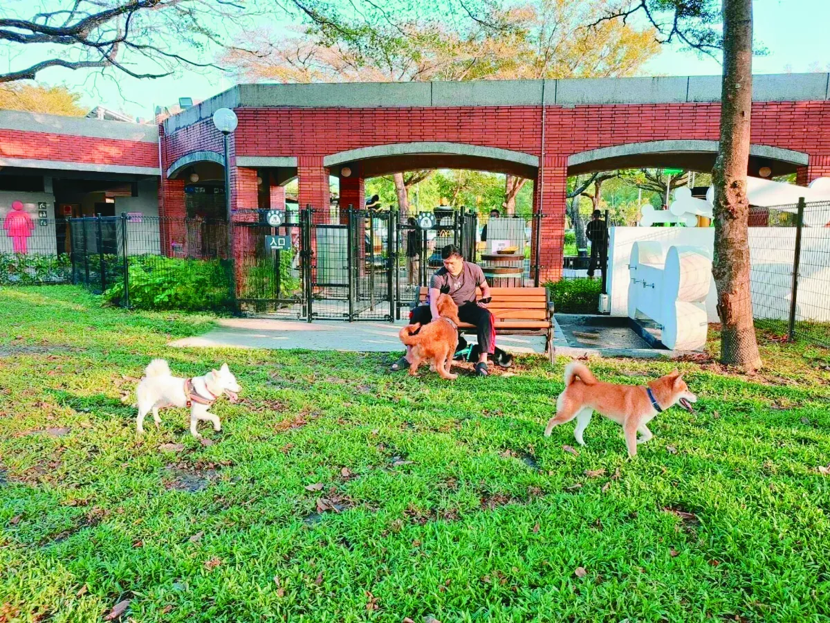 5國道服務區 設寵物公園