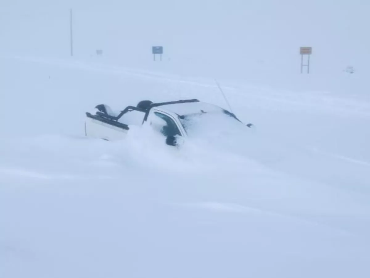 阿根廷遭強烈南極寒流侵襲   戰車出動搶救居民牛羊
