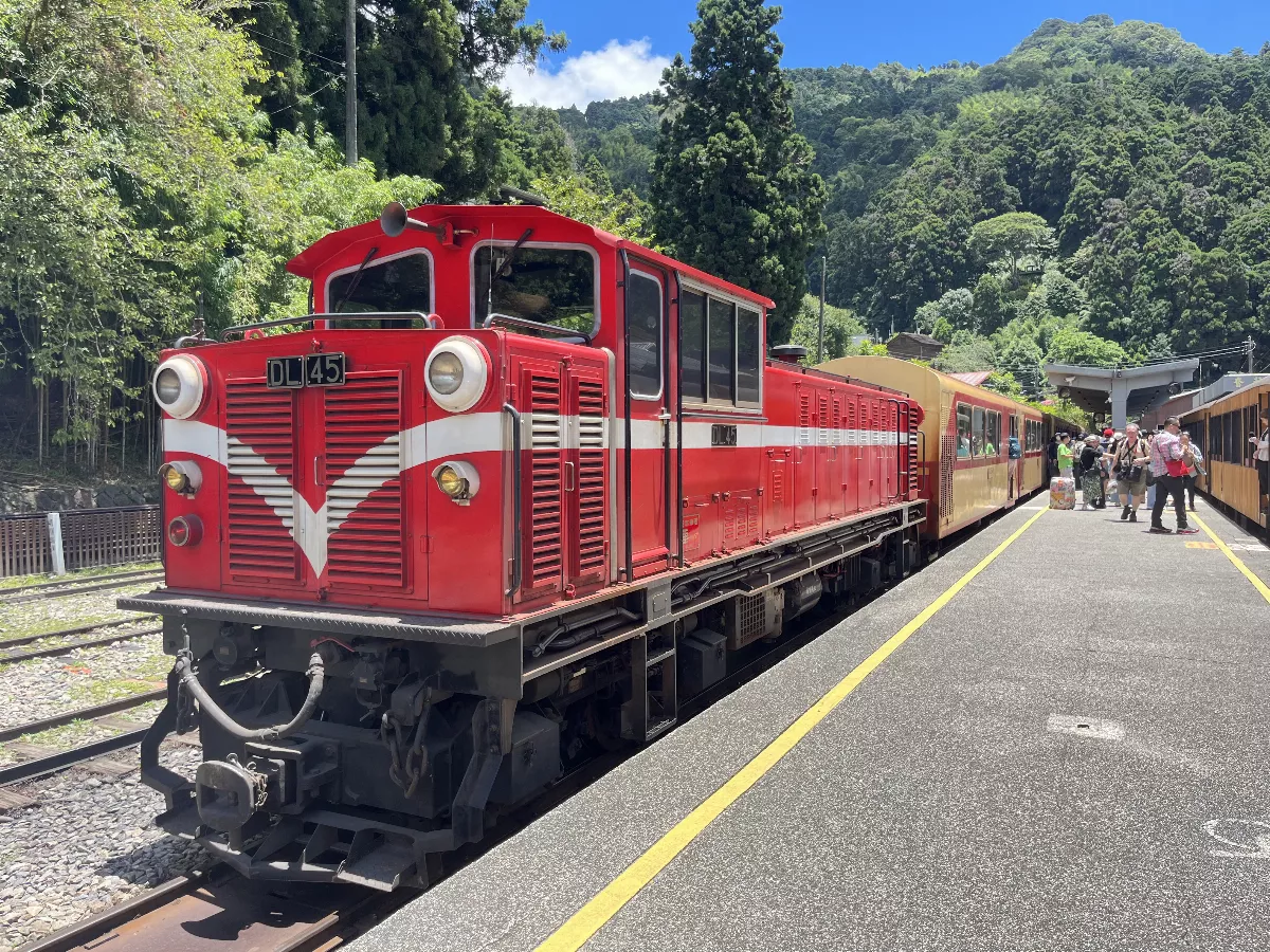 阿里山林鐵恢復全線通車 沿途看點多