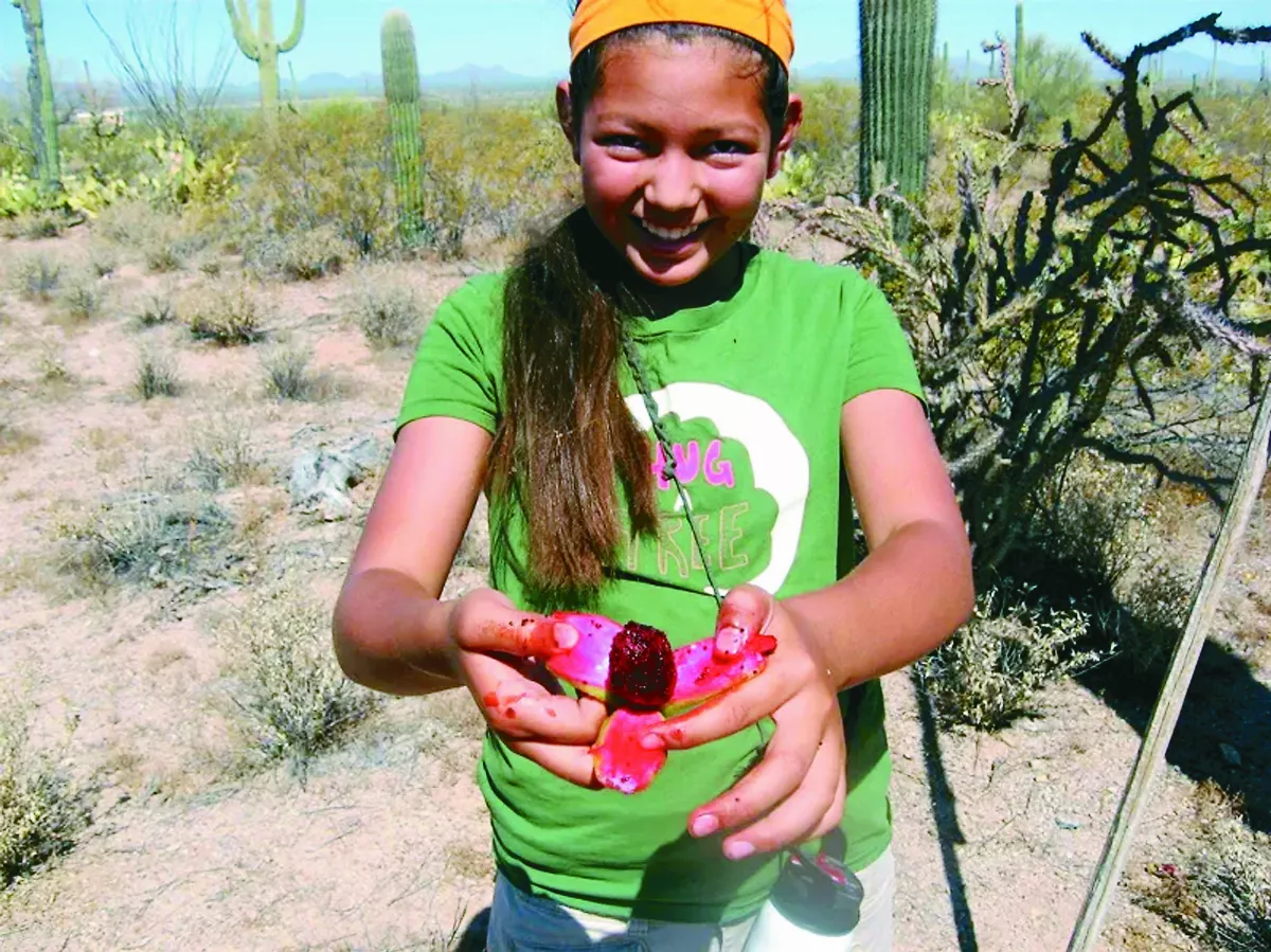 索諾拉沙漠 仙人掌造就豐富生態