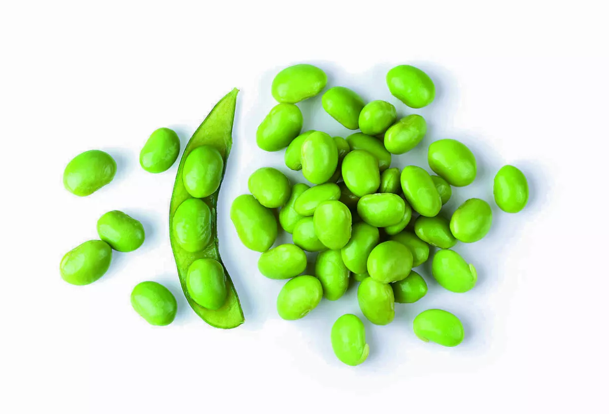 【蔬菜豆】豆莢鮮嫩爽脆清甜