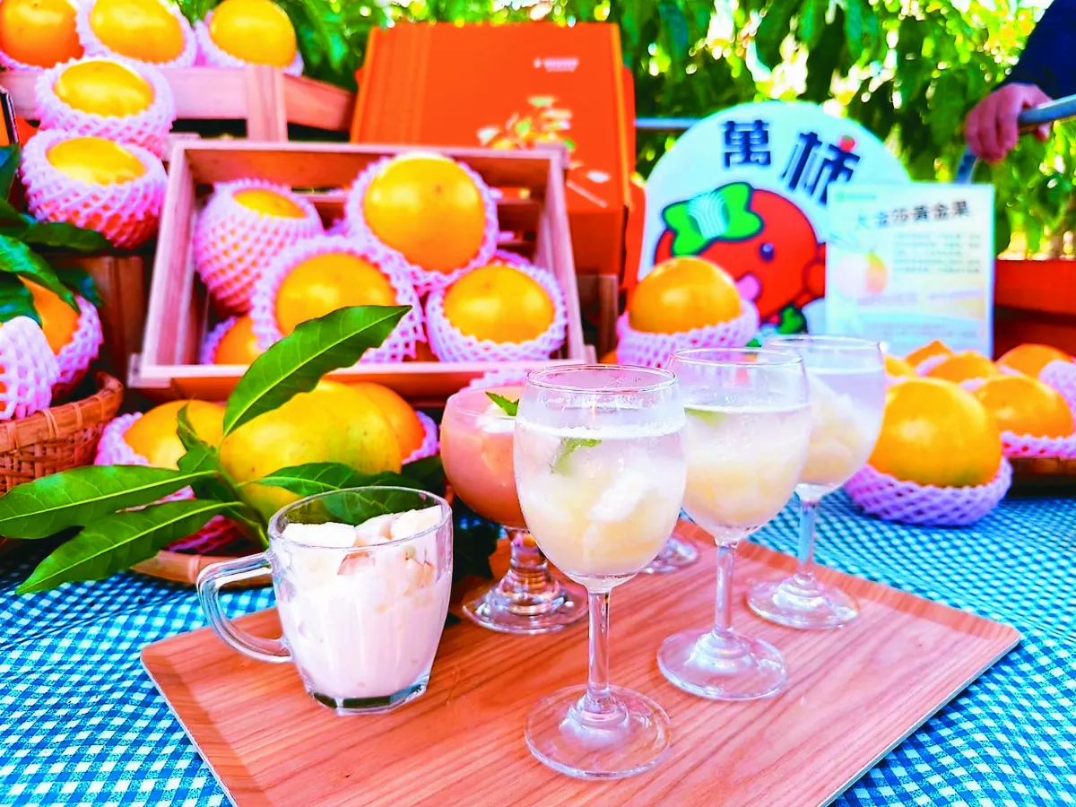 黃金果  水果界燕窩  