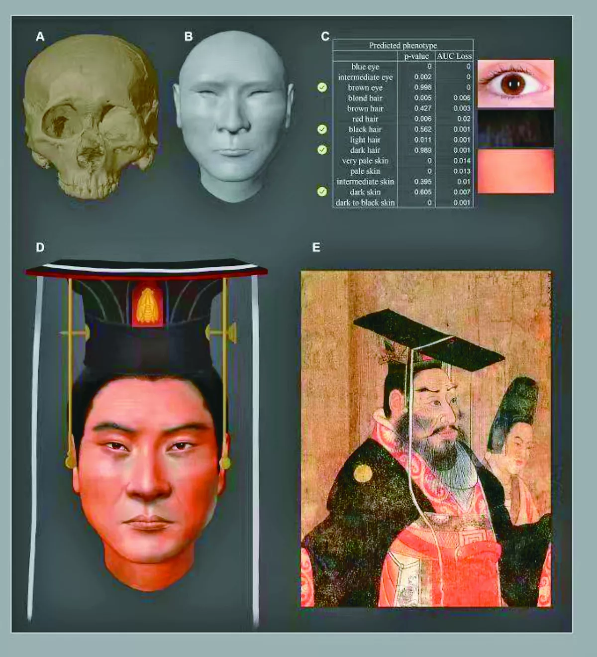 北周武帝容貌 科技考古還原 
