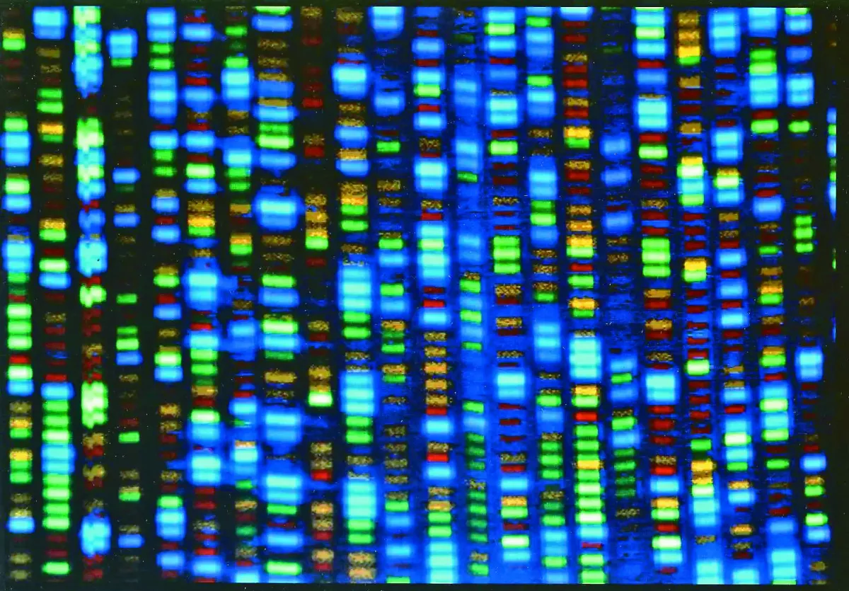 回地球後加速衰老 太空改變人類DNA