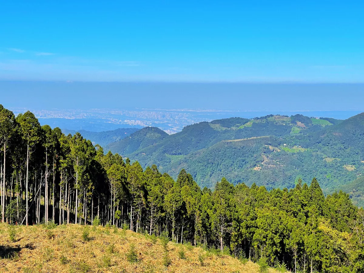 國有非公用不動產活化 未來可供造林取碳權
