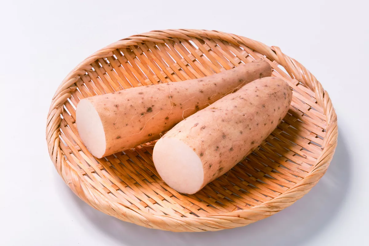 夏至三伏貼季節