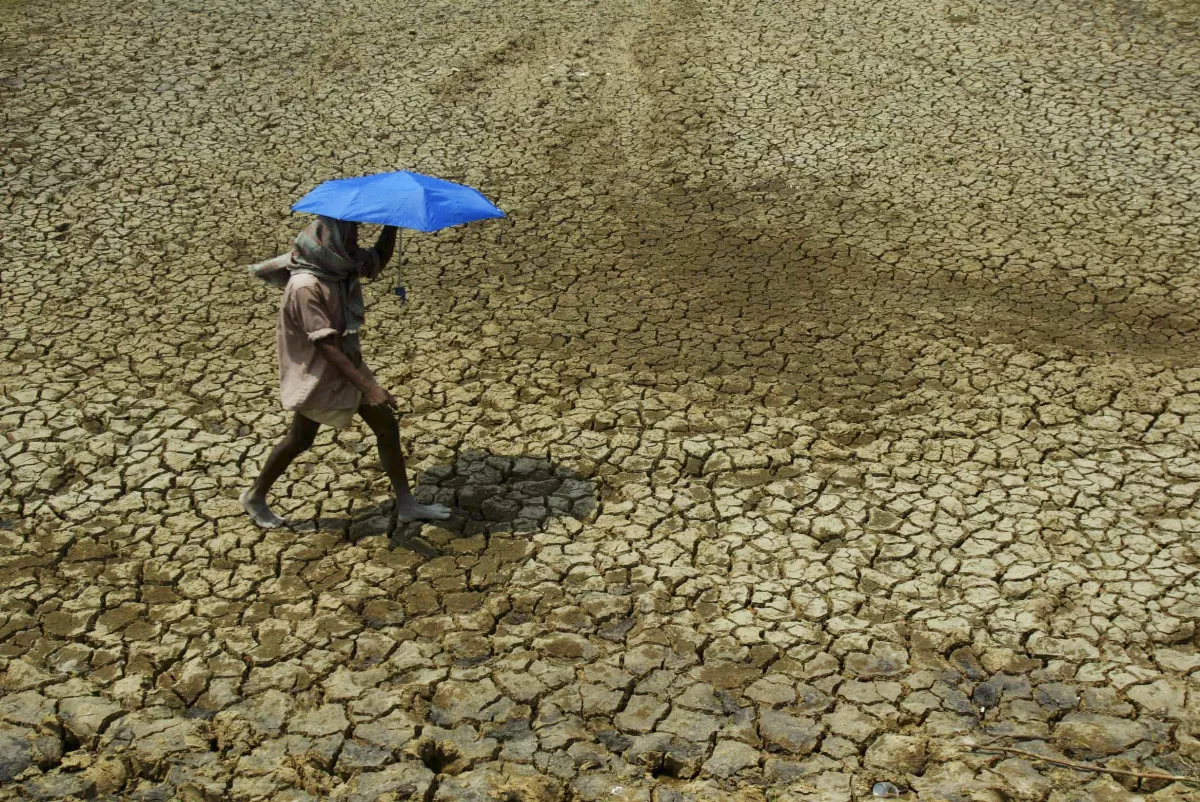 COP29今年11月登場 主辦國籲富國讓步