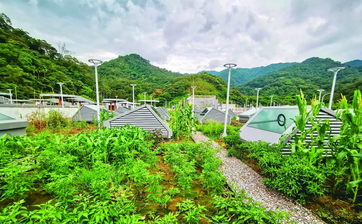 【走讀城鄉】融入山林的捷運機廠 安坑輕軌都市農園