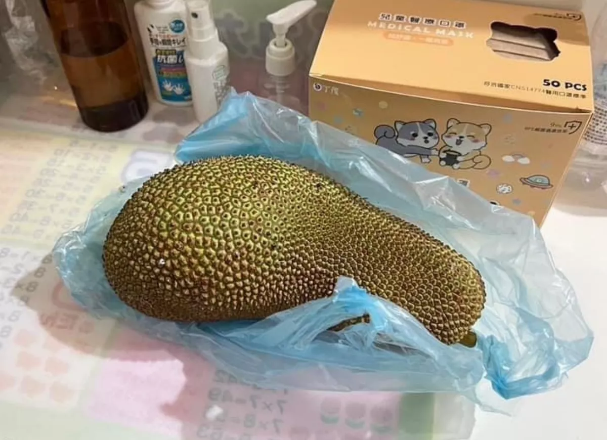 獲報瓦斯外洩  消防隊現場發現是波羅蜜味道