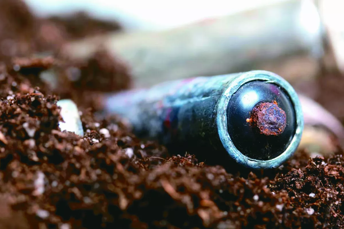 細菌電池 提高農作生產效率