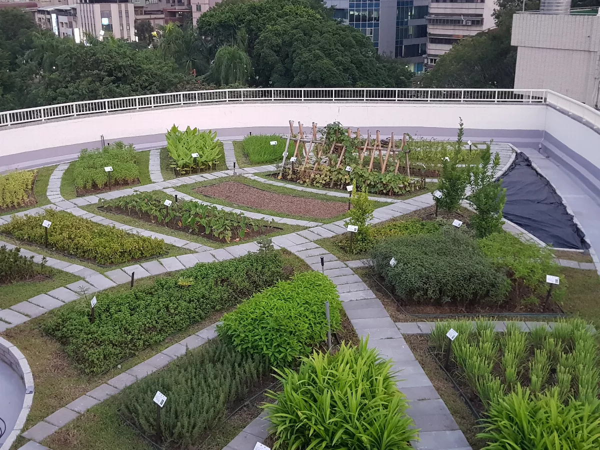 打造綠屋頂助降溫3度　高市補助建築立體綠化