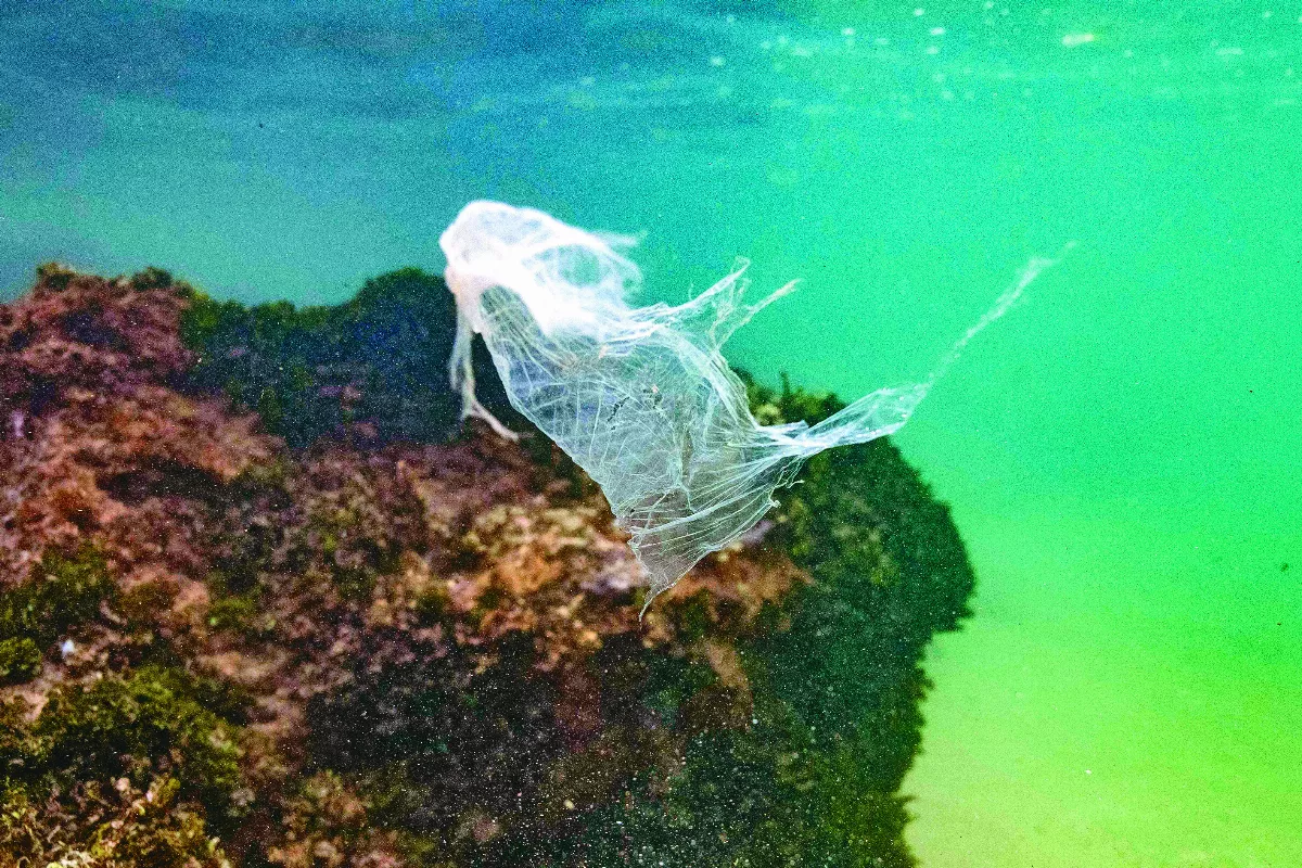 禁塑6年有成 萬那杜潟湖清澈了