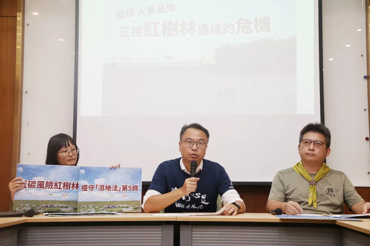 反對紅樹林植林增匯計畫 環團：官方帶頭誇大藍碳功能