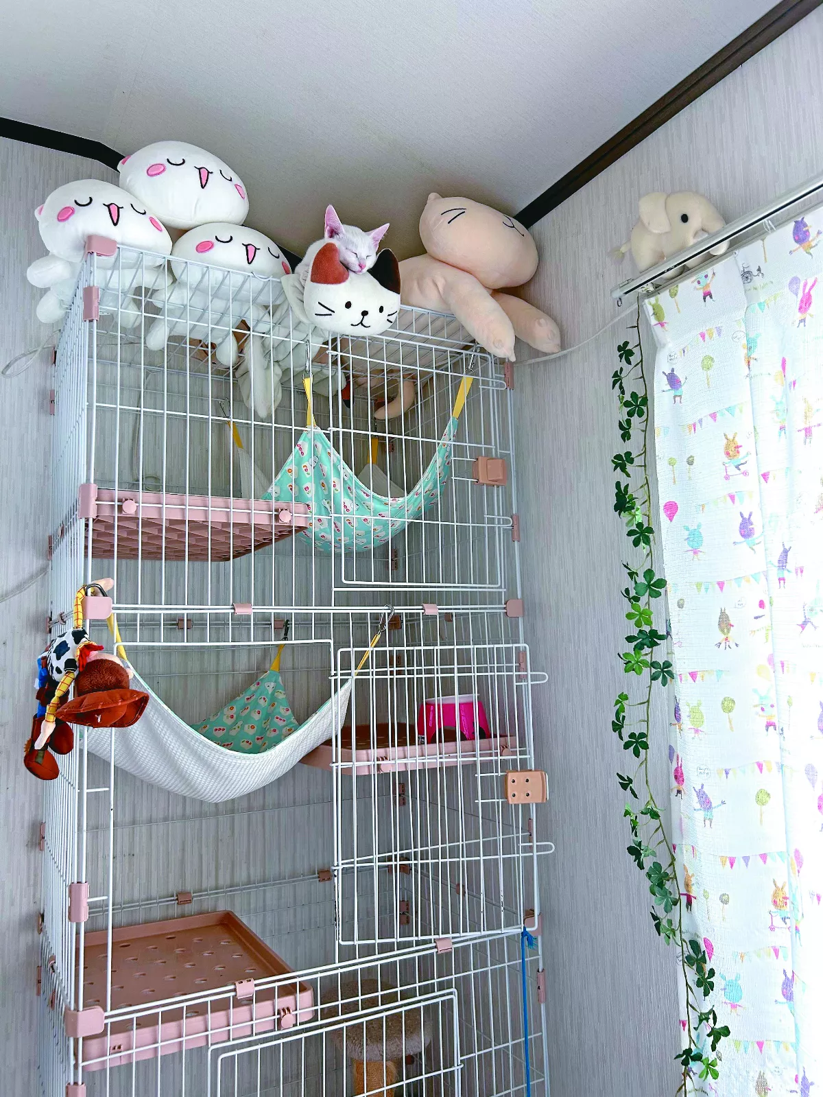 白貓偽裝玩偶 看飼主狂找自己