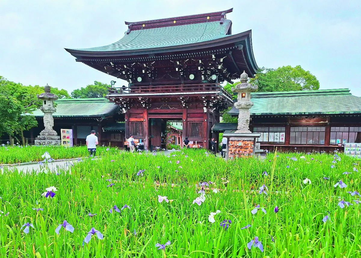 【東瀛遍路】福岡宮地嶽神社