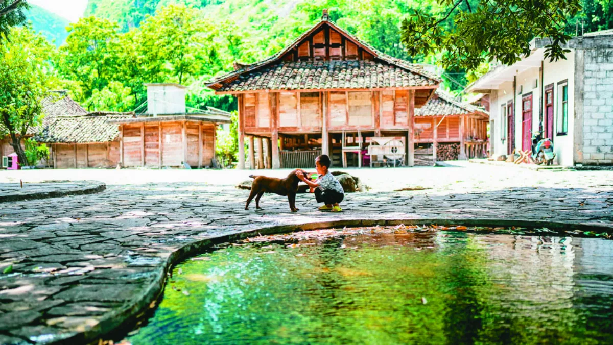 生態村孩童戲小狗