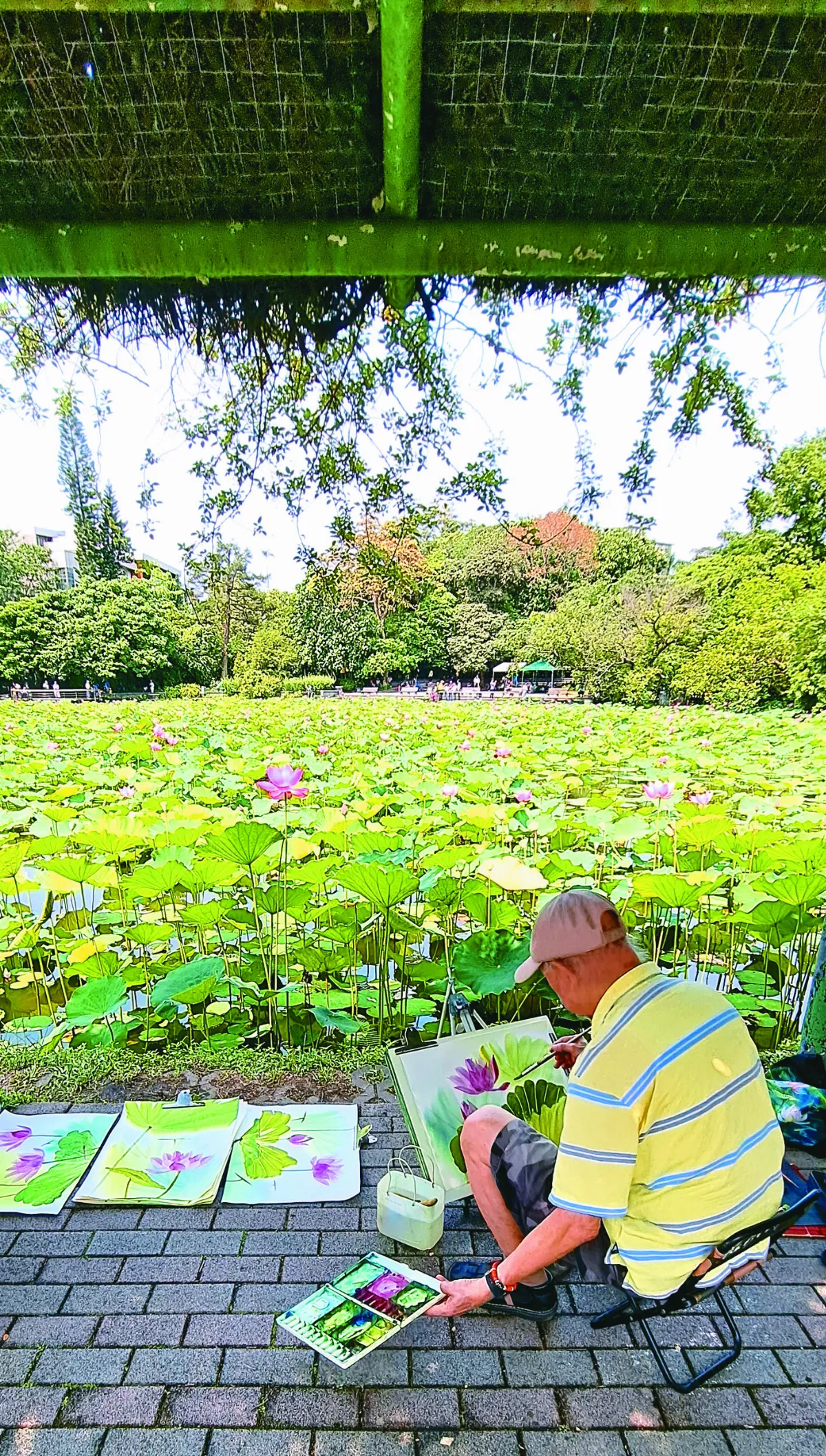 【生活快門】看花看畫