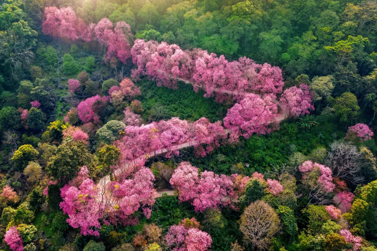 星雲說偈：懺悔業障