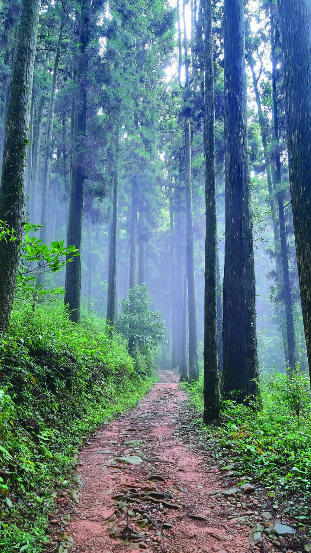 【海闊天空】 國考生的登山歷險記