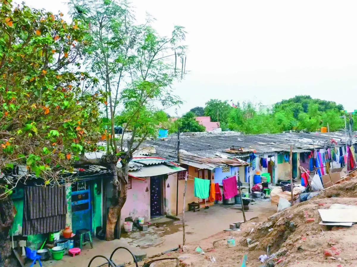 應對缺水危機 清奈樹立典範