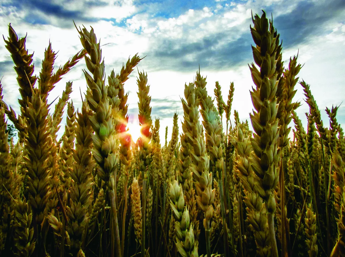 【人間佛教的戒定慧】人間佛教的戒學（18）   