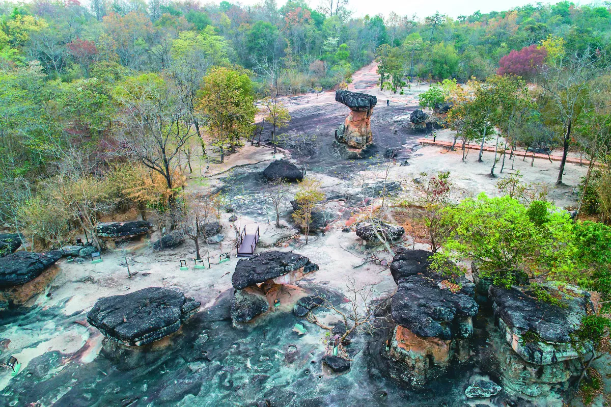 泰國朴菩蝙蝠園區 列入世遺