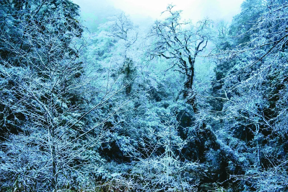 【紀實攝影】山海花蓮