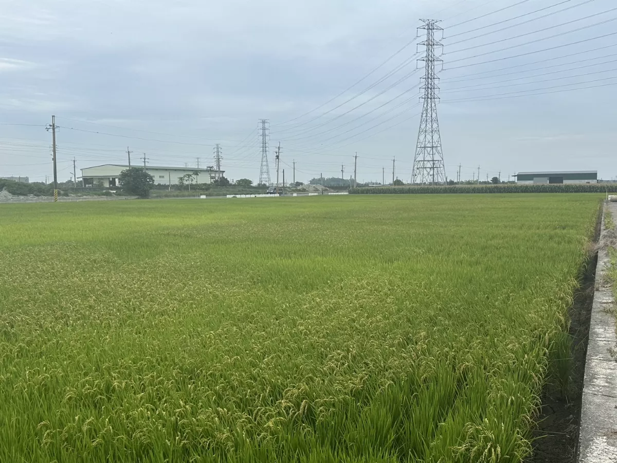 國土法將上路 農業部強調農民權益不受影響