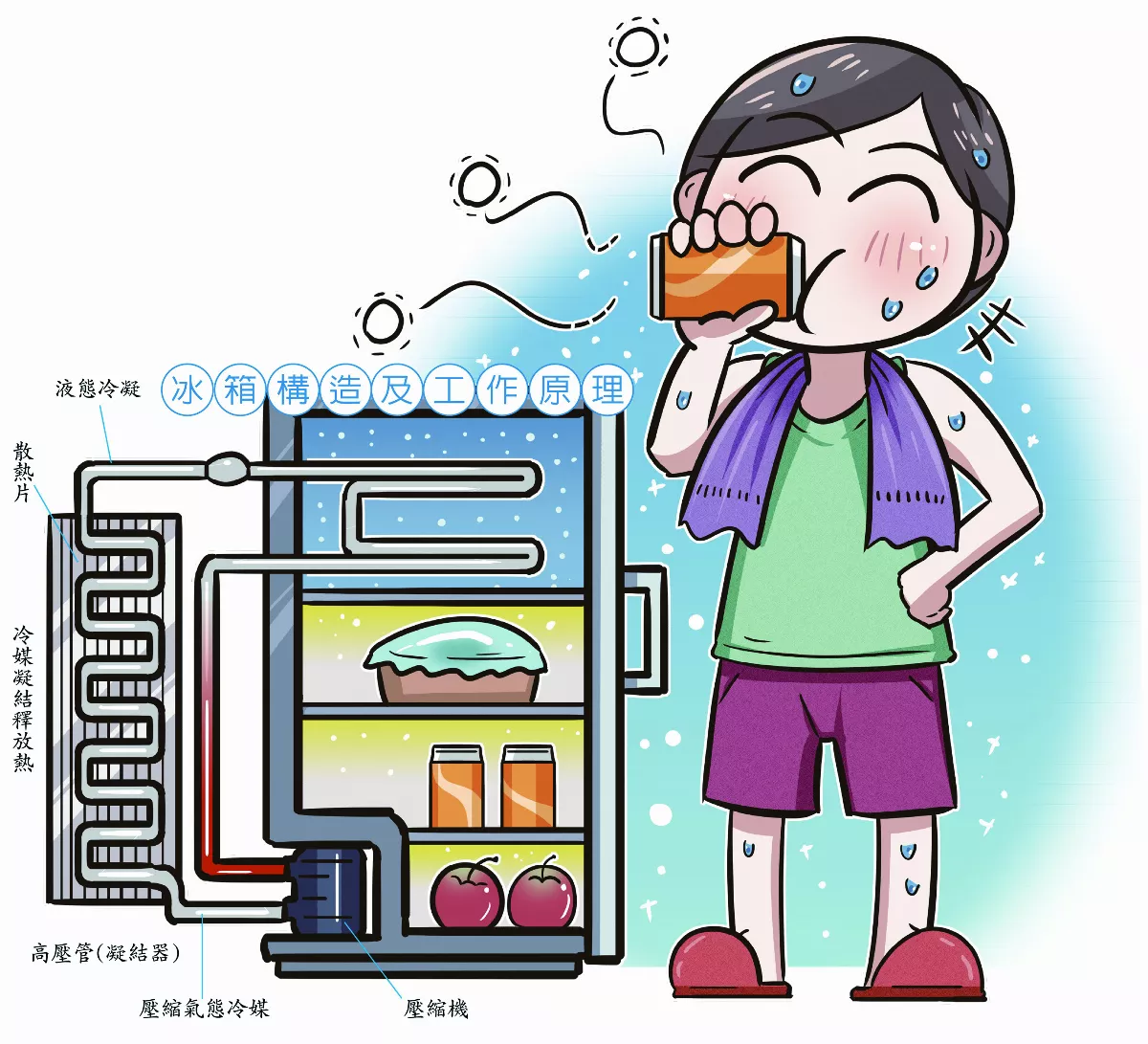 解密冰箱運作原理