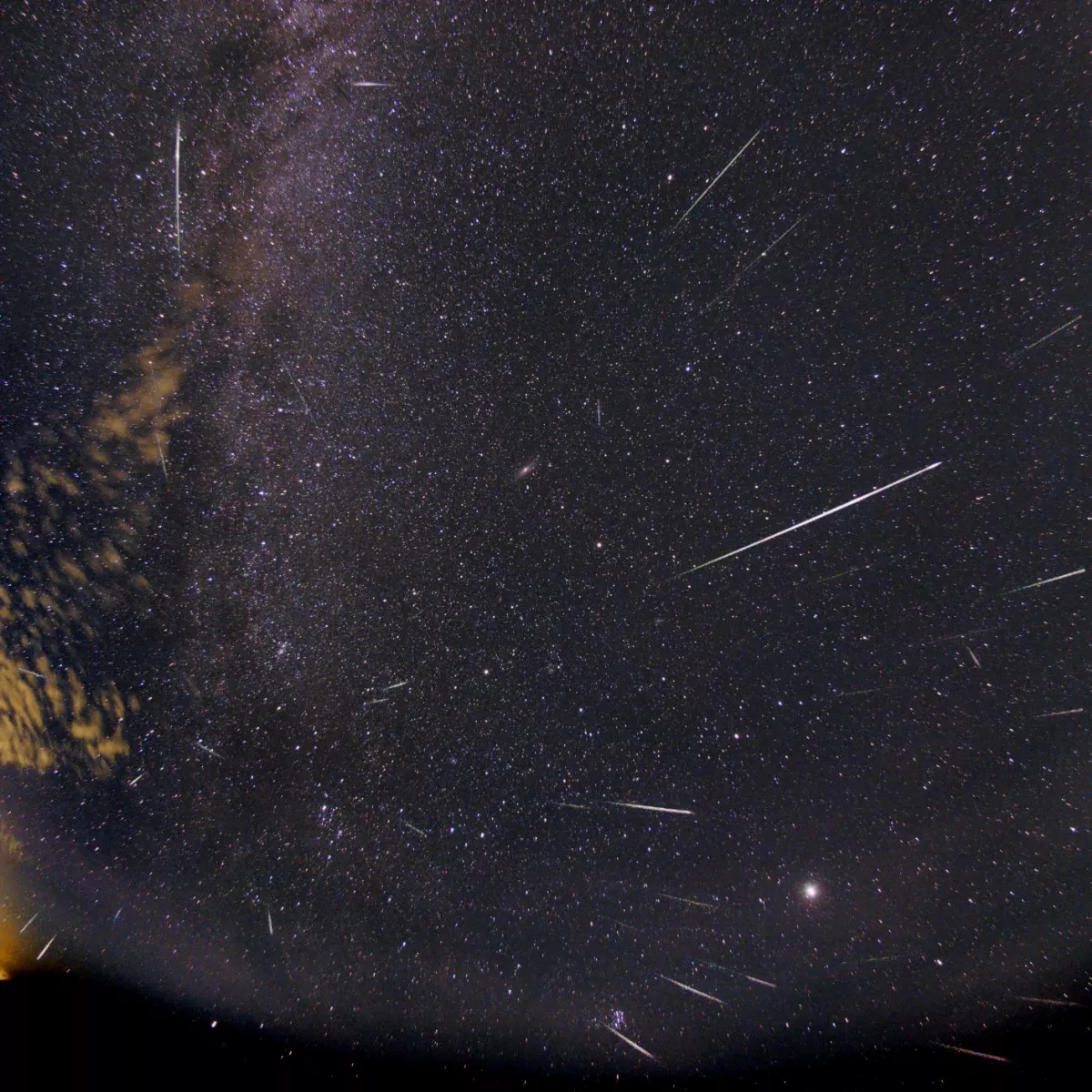 每小時流星數上看100顆  南瀛天文館邀大眾追星