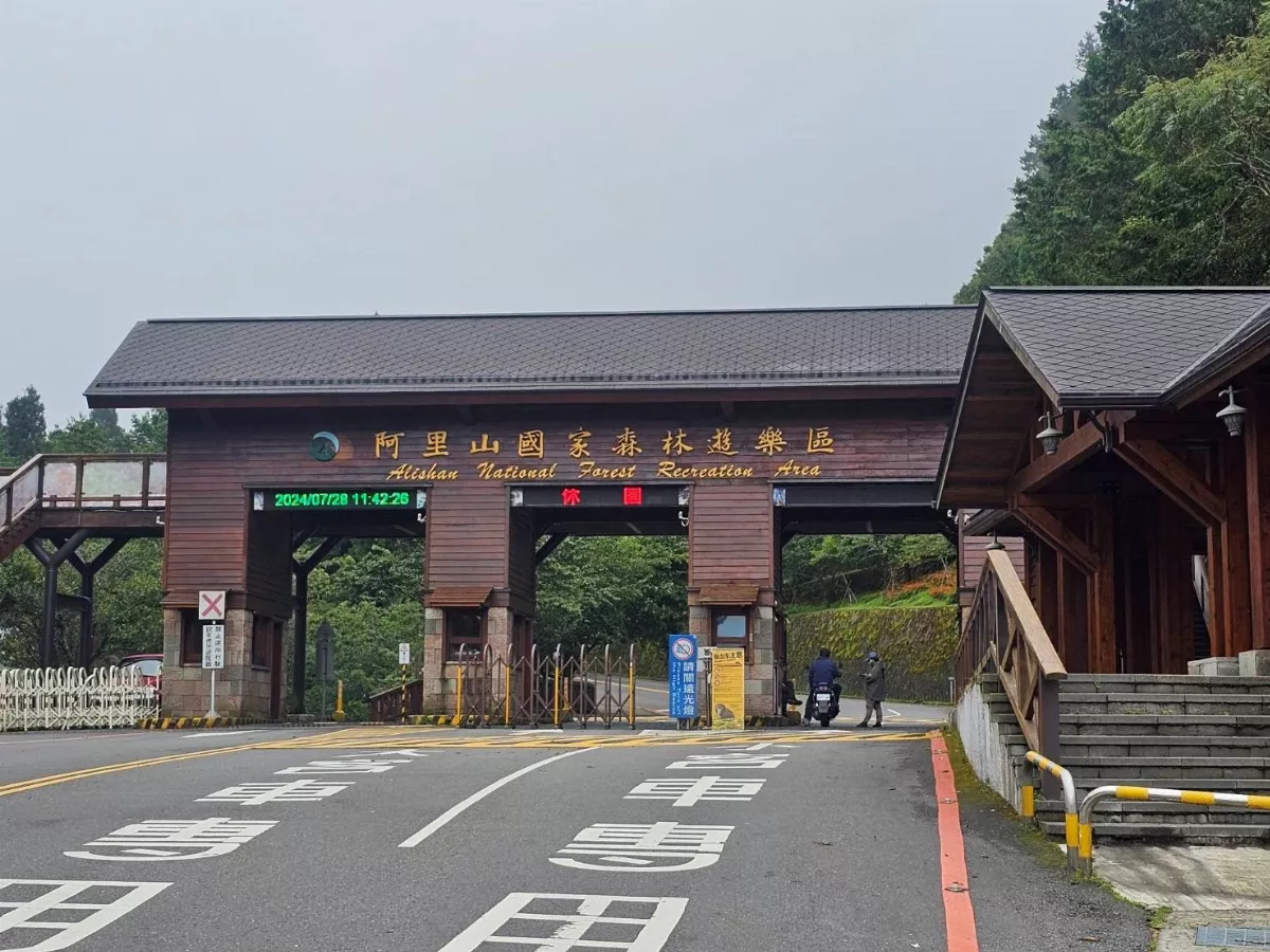 凱米重創阿里山觀光   業者歎「慘」字形容