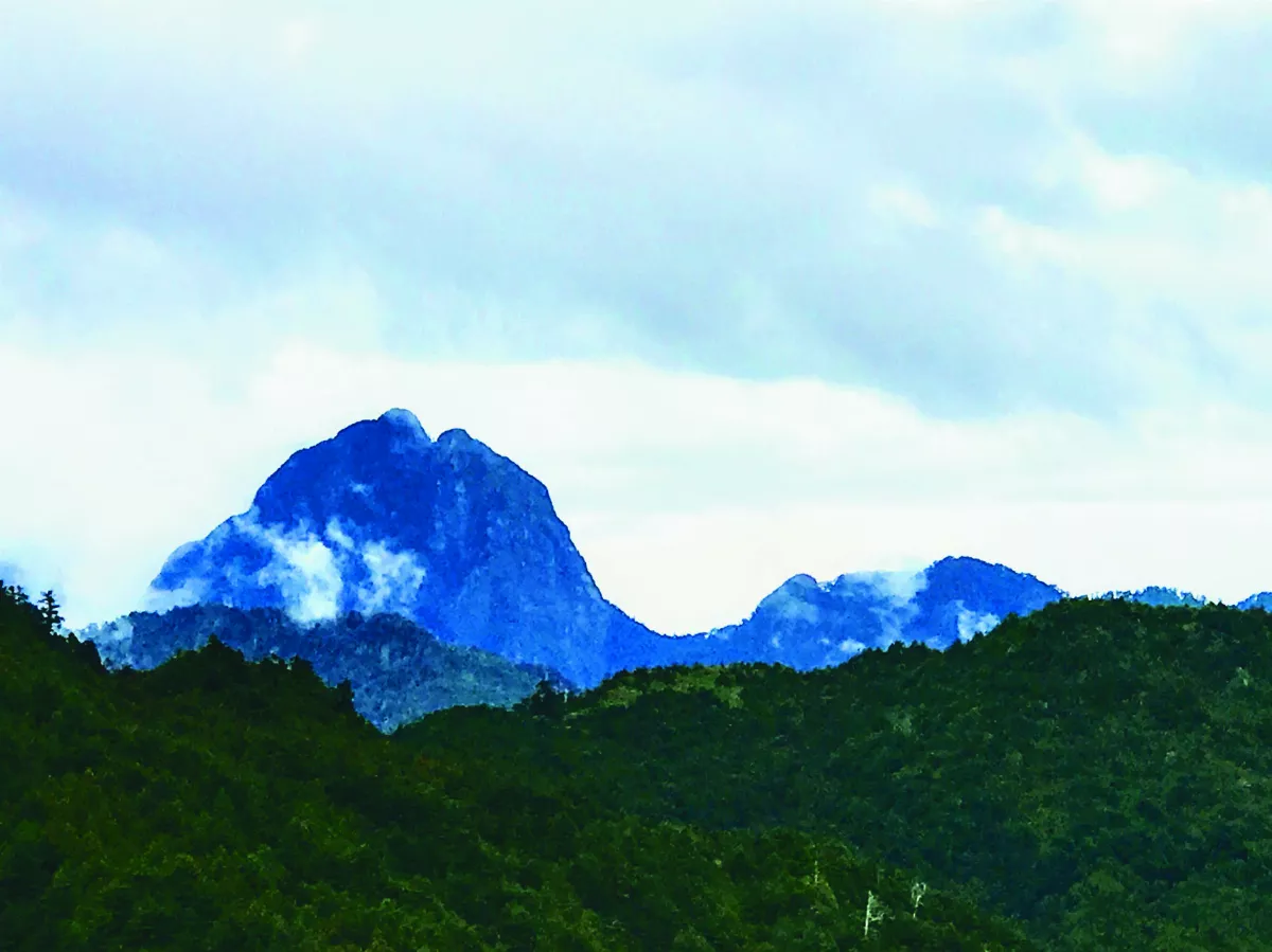 【海闊天空】 大雪山 避暑兼賞鳥