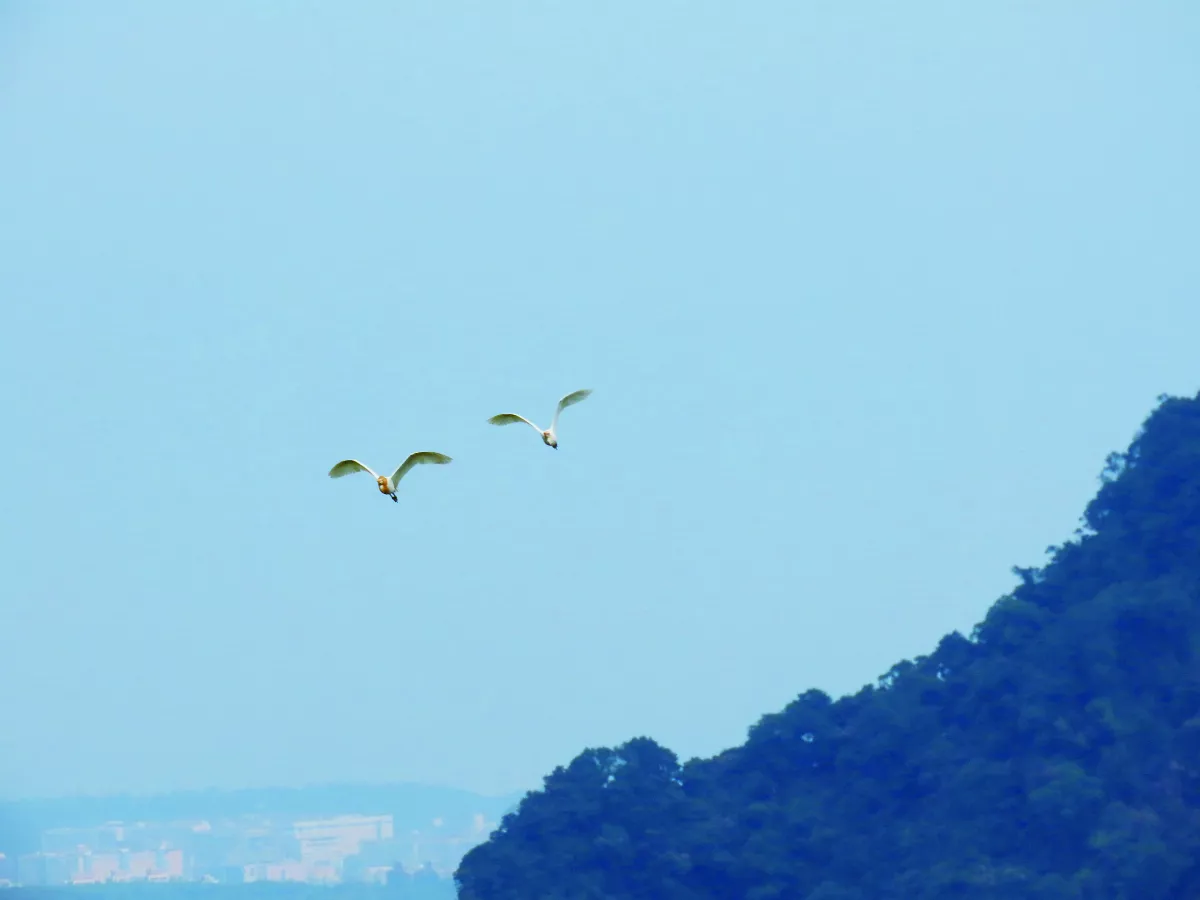 【山村生活】久別的重逢