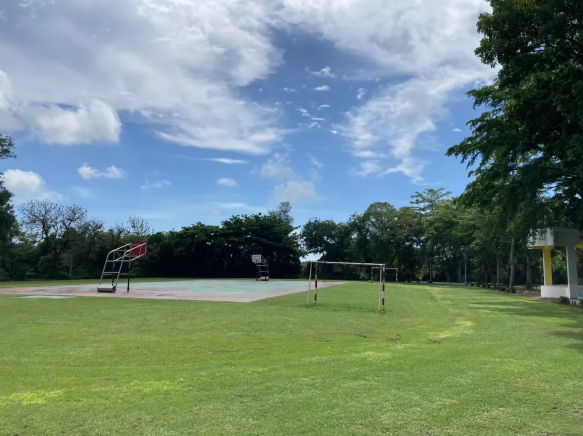 PU跑道維修費用高 草地操場適合小規模學校
