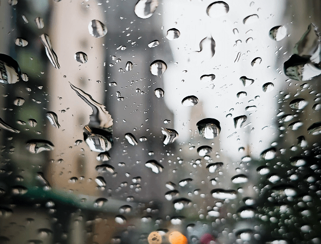 低壓帶偏西南風影響  中南部降雨將偏多