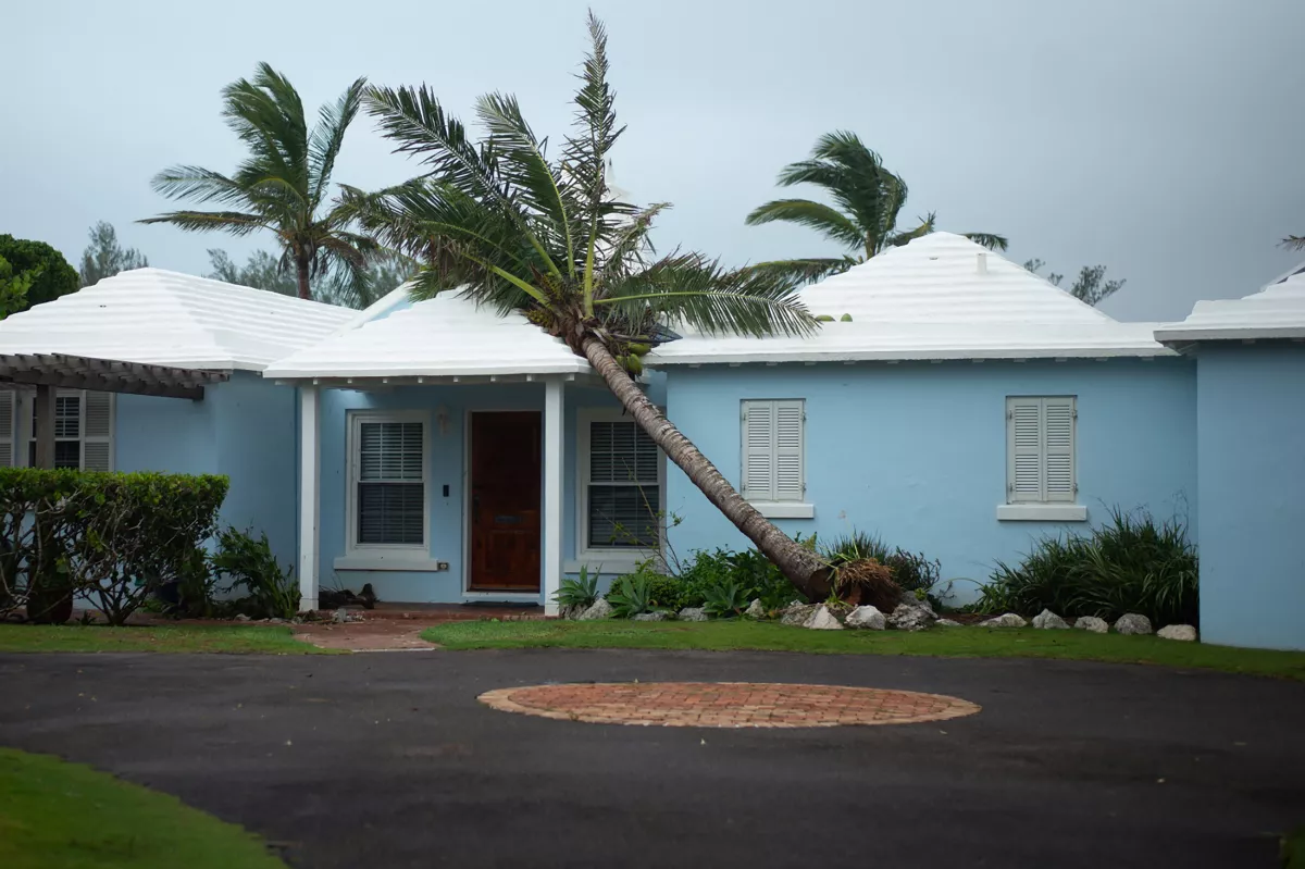 颶風厄尼斯托侵襲百慕達 強風豪雨釀大規模停電