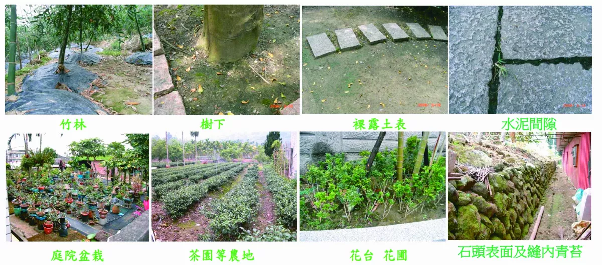 【樹博士系列】土壤的秘密 討厭的小黑蚊 到底有沒有解