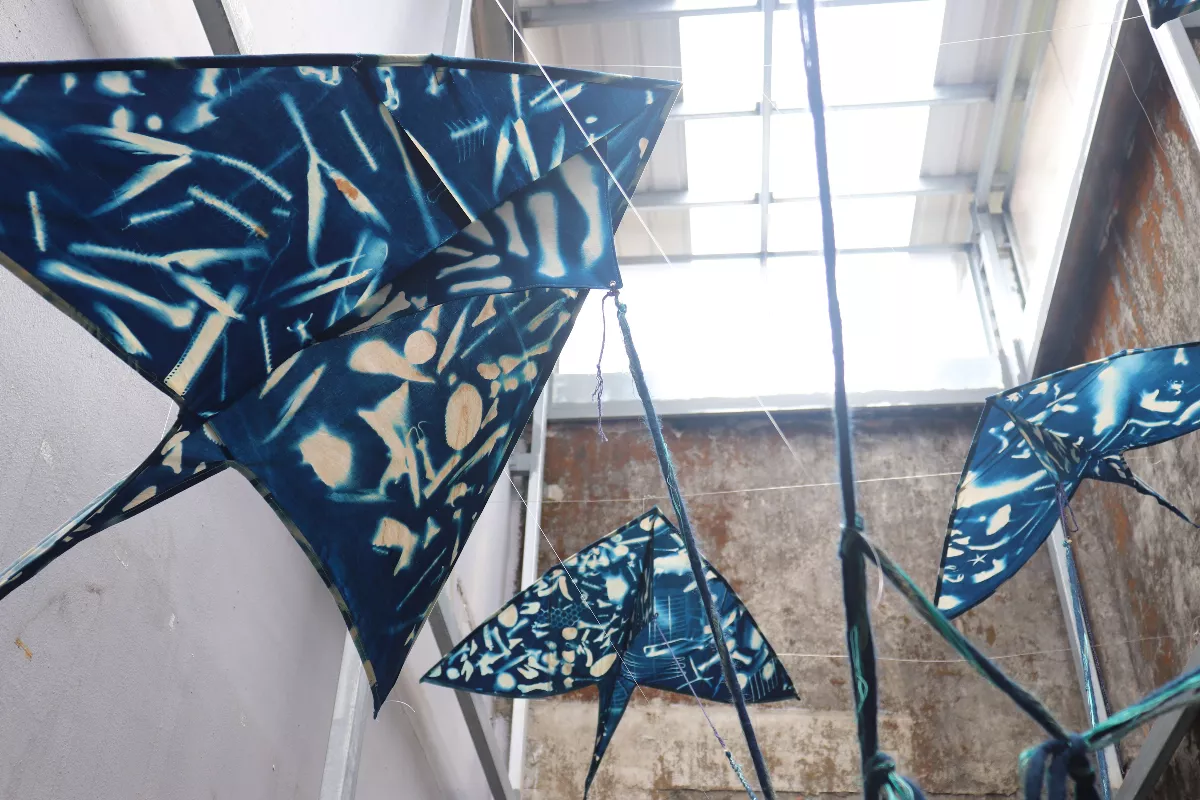 高美館推《山演算》展　領略生態藝術新思維