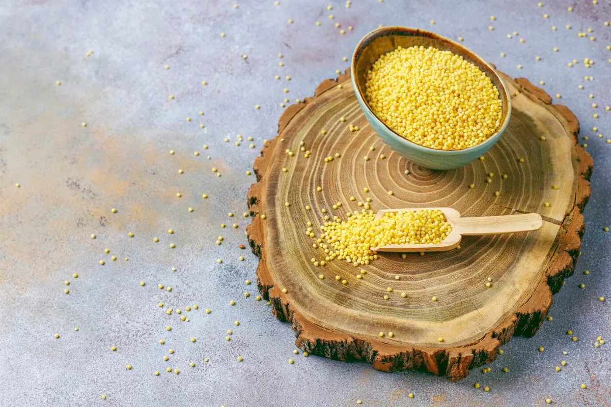 台灣原生種小米 風味獨特營養豐富