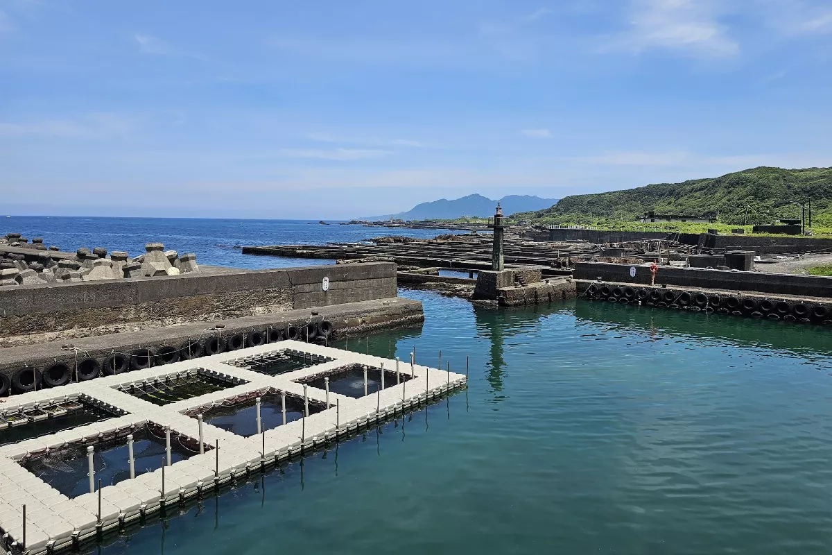復育東北角海洋資源  海大徐德華獲獎