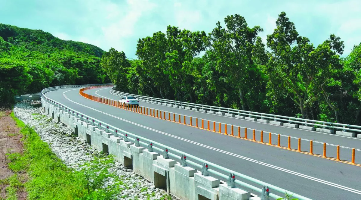 ​墾丁陸蟹廊道3.0 路殺少81%
