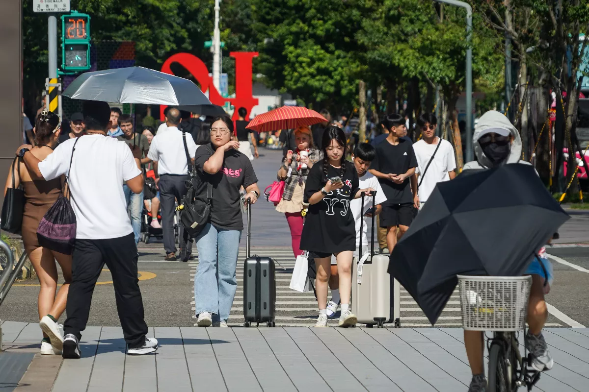 熱島效應悶燒北市 1年逾60天飆36度以上高溫