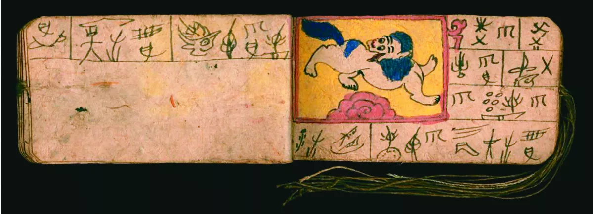 【走進大西南】 今天好運嗎？ 納西族的占卜書