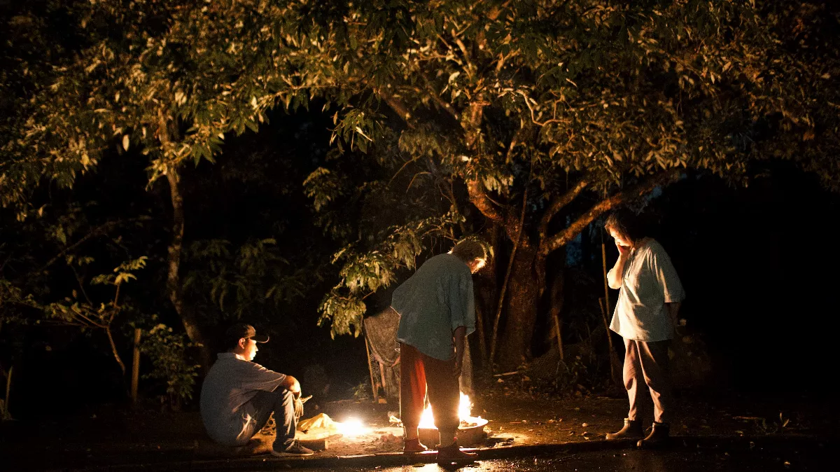 高雄拍新片 《貓與雞》具心靈療癒的啟發 