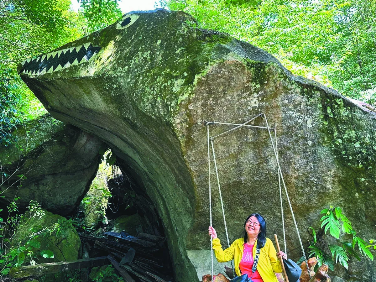 【海闊天空】 豐山祕境行 滿眼綠 心清涼