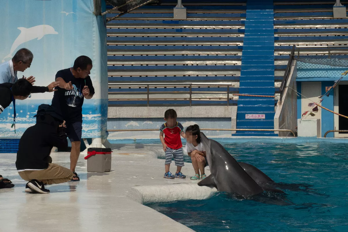 台灣動保揭新頁 海陸保育動物皆不得表演 
